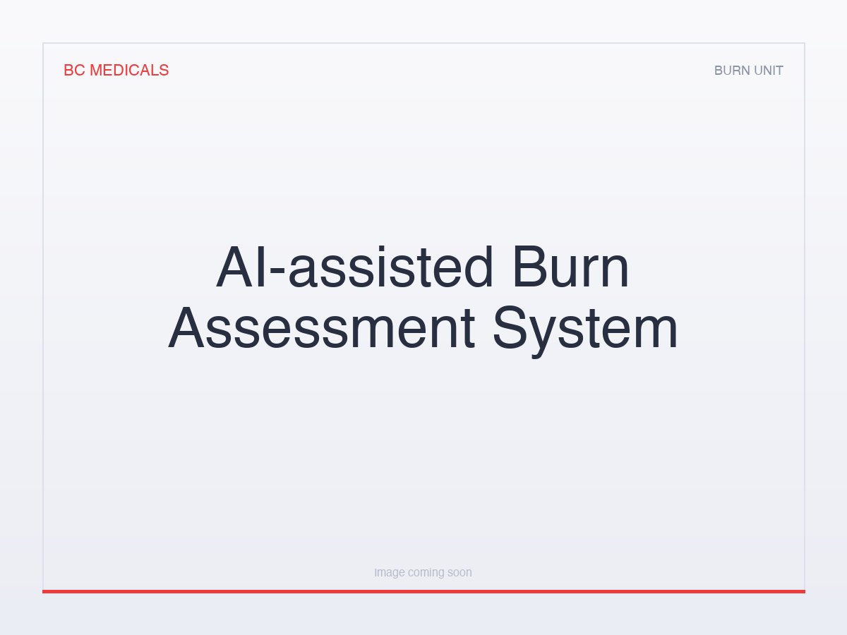 AI-assisted Burn Assessment System