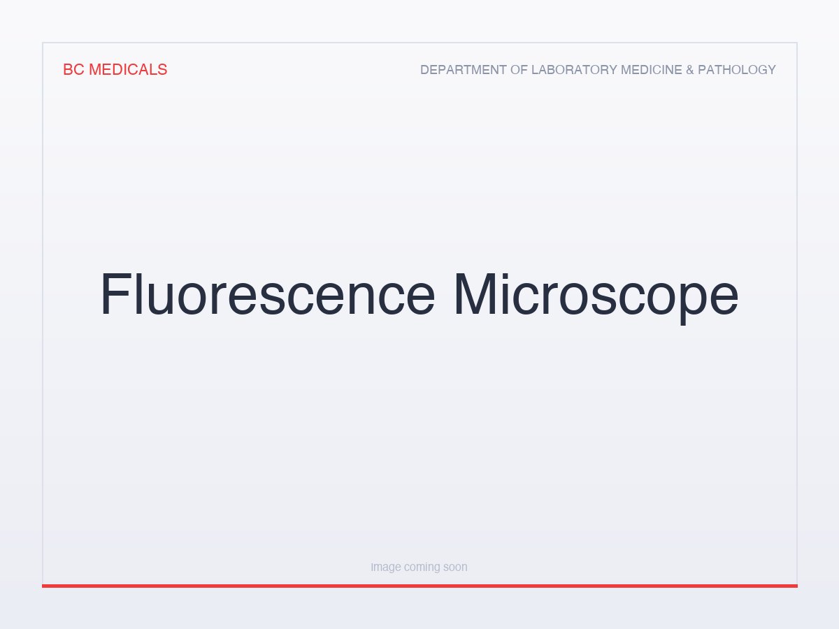 Fluorescence Microscope