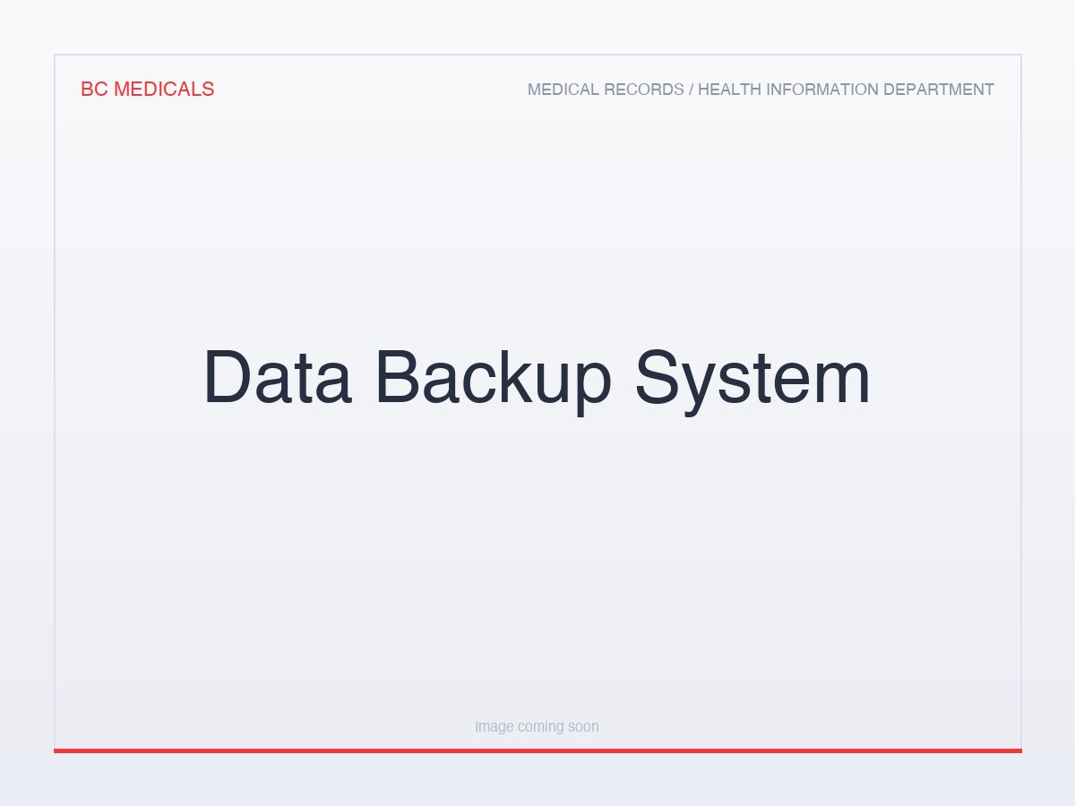 Data Backup System