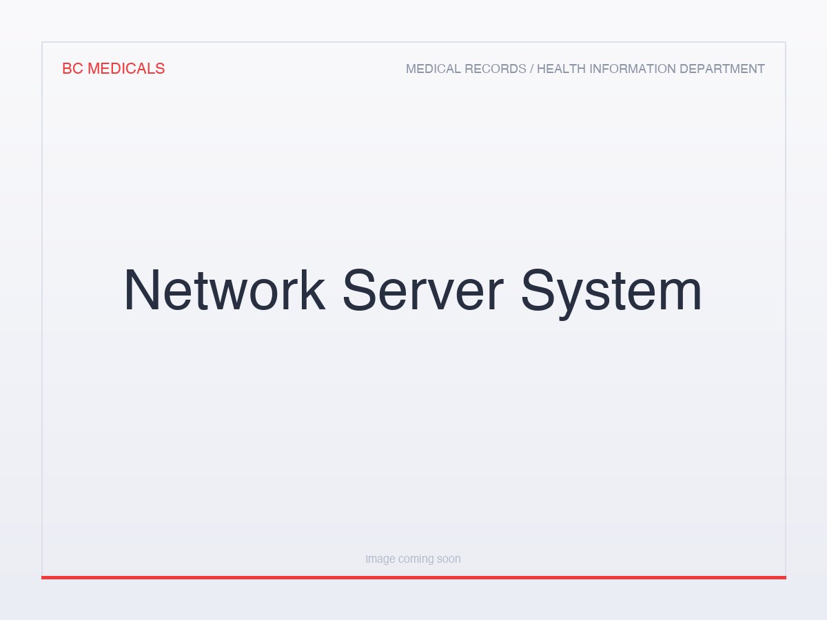 Network Server System