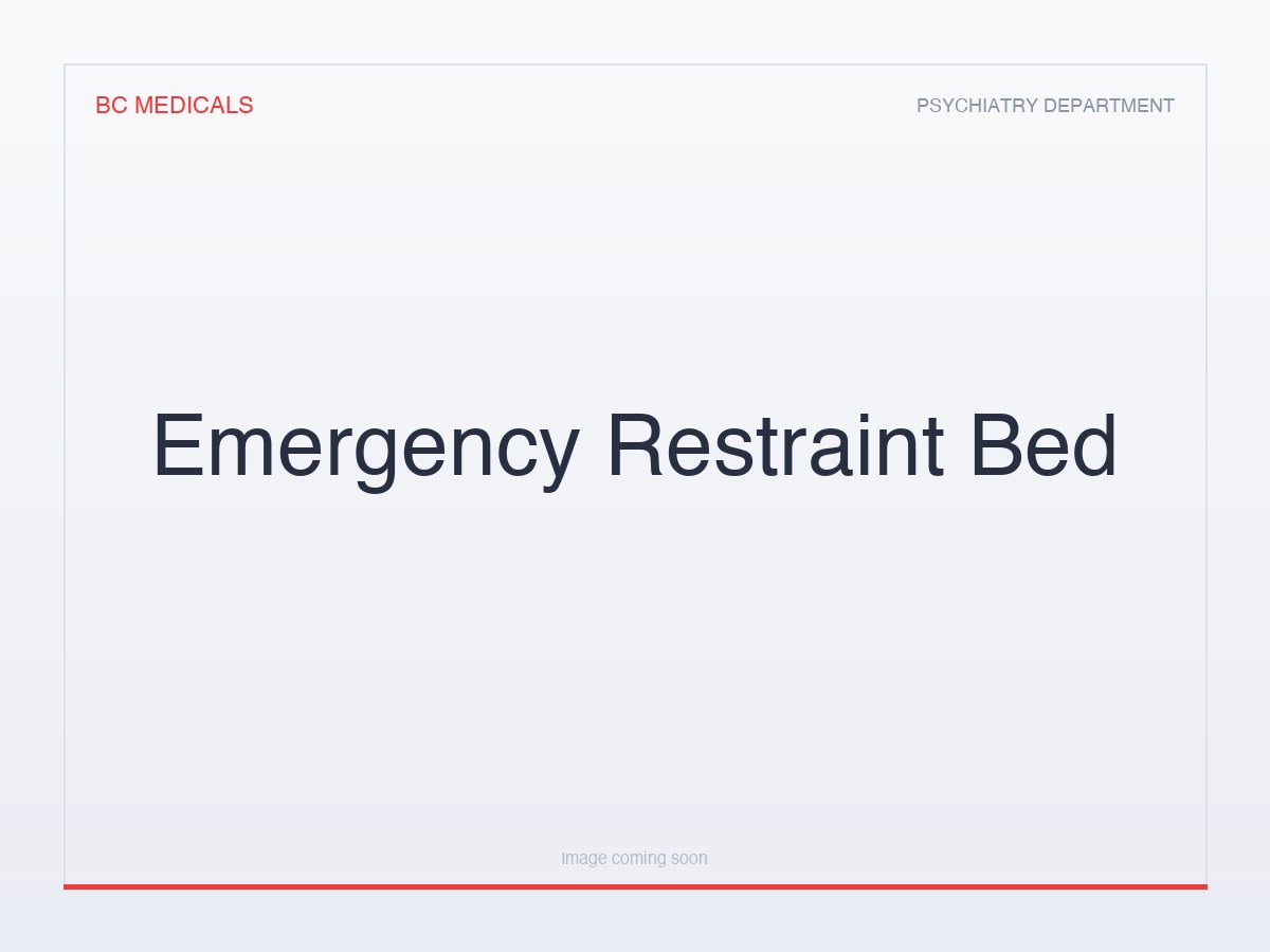 Emergency Restraint Bed