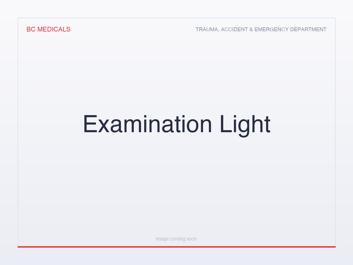 Examination Light