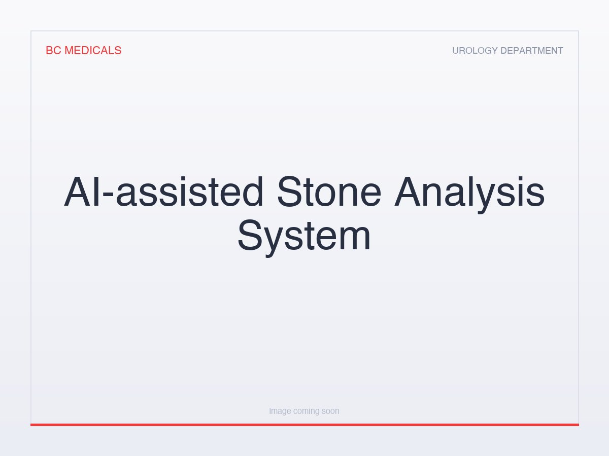 AI-assisted Stone Analysis System