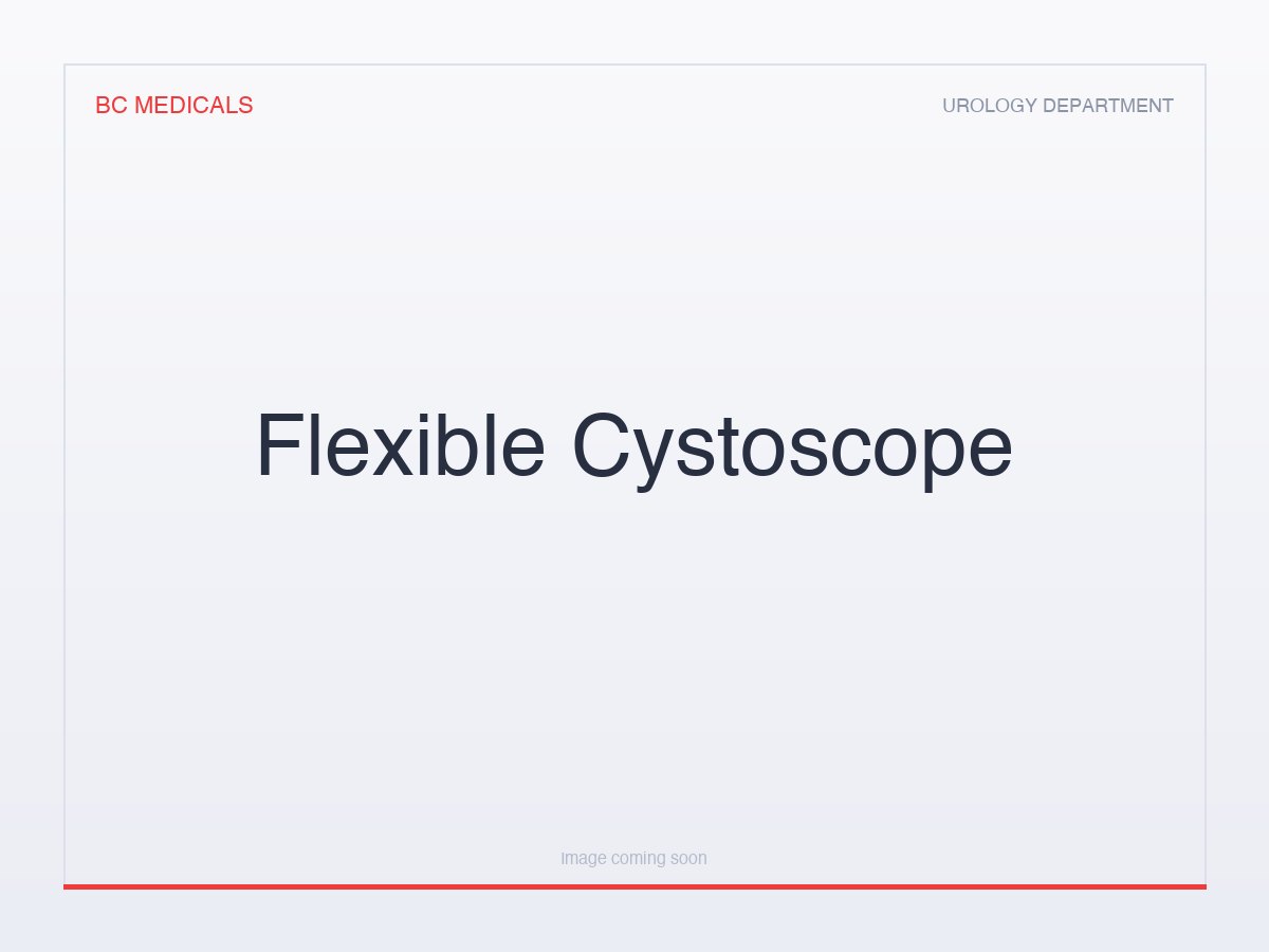 Flexible Cystoscope
